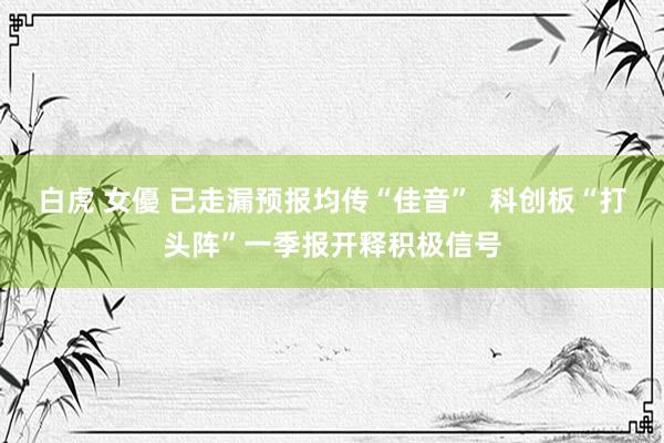 白虎 女優 已走漏预报均传“佳音”  科创板“打头阵”一季报开释积极信号