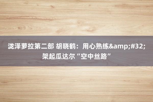 泷泽萝拉第二部 胡晓鹤：用心熟练&#32;架起瓜达尔“空中丝路”