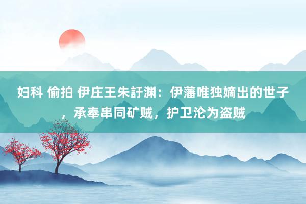 妇科 偷拍 伊庄王朱訏渊：伊藩唯独嫡出的世子，承奉串同矿贼，护卫沦为盗贼