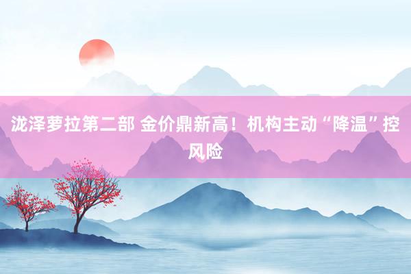 泷泽萝拉第二部 金价鼎新高！机构主动“降温”控风险